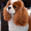 DSC_0035.jpg