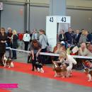 DSC_0151.jpg