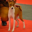 DSC_0167.jpg