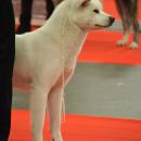 DSC_0176.jpg