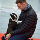 DSC_0781.jpg
