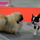 DSC_0786.jpg