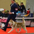 DSC_0509.jpg