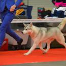 DSC_0605.jpg