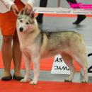 DSC_0652.jpg