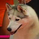 DSC_0709.jpg