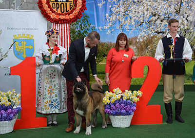 BIS Puppy - Opole 2018
