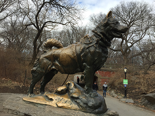 Central Park Nowy Jork - Pomnik Husky BALTO