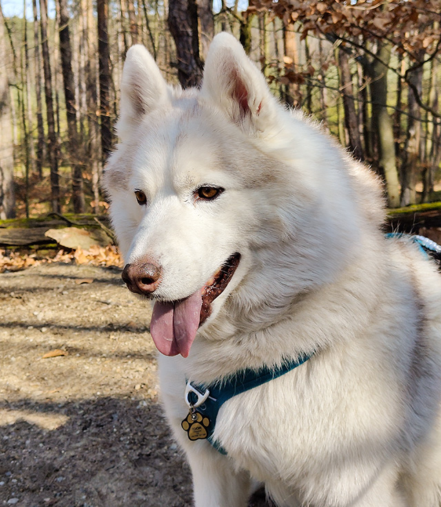 Igor 7/3/2026 Fot. Monika Milian