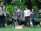KLUB Biaystok 2008  ZPR