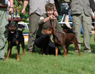 KLUB Biaystok 2008  ZPR