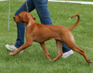 KLUB Biaystok 2008  ZPR