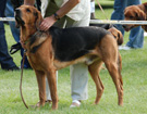 KLUB Biaystok 2008  ZPR