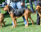 KLUB Biaystok 2008  ZPR