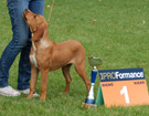 KLUB Biaystok 2008  ZPR
