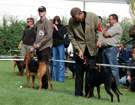 KLUB Biaystok 2008  ZPR