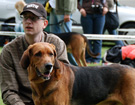 KLUB Biaystok 2008  ZPR