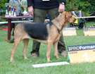 KLUB Biaystok 2008  ZPR
