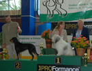BIAYSTOK 2008  ZPR