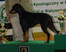 BIAYSTOK 2008  ZPR