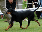BIAYSTOK 2008  ZPR