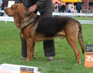 BIAYSTOK 2008  ZPR