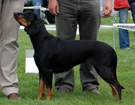 BIAYSTOK 2008  ZPR