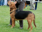 BIAYSTOK 2008  ZPR