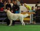 BIAYSTOK 2008  ZPR