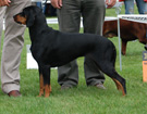 BIAYSTOK 2008  ZPR