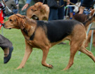 BIAYSTOK 2008  ZPR