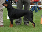 BIAYSTOK 2008  ZPR