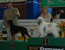 BIAYSTOK 2008  ZPR