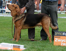 BIAYSTOK 2008  ZPR