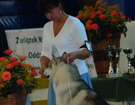 BIAYSTOK 2008  ZPR