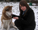 Siberian Husky � ZPR