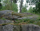  ZPR