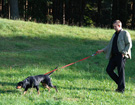 NAREW 2008  ZPR