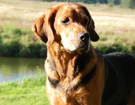 NAREW 2008  ZPR