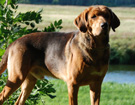 NAREW 2008  ZPR