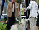 OPOLE 2008  ZPR