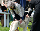 OPOLE 2008  ZPR